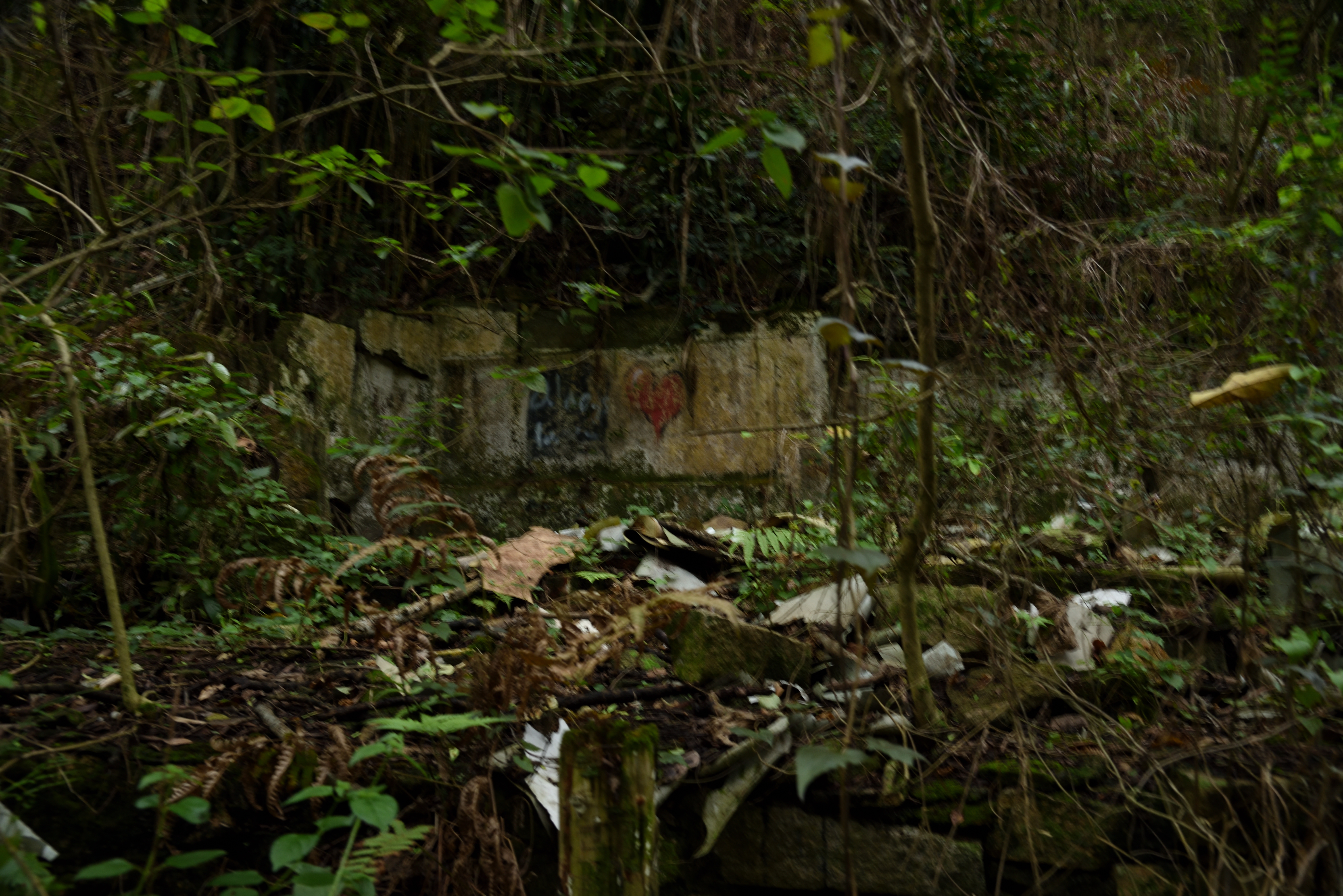 Hong Kong Former Squatter Villages